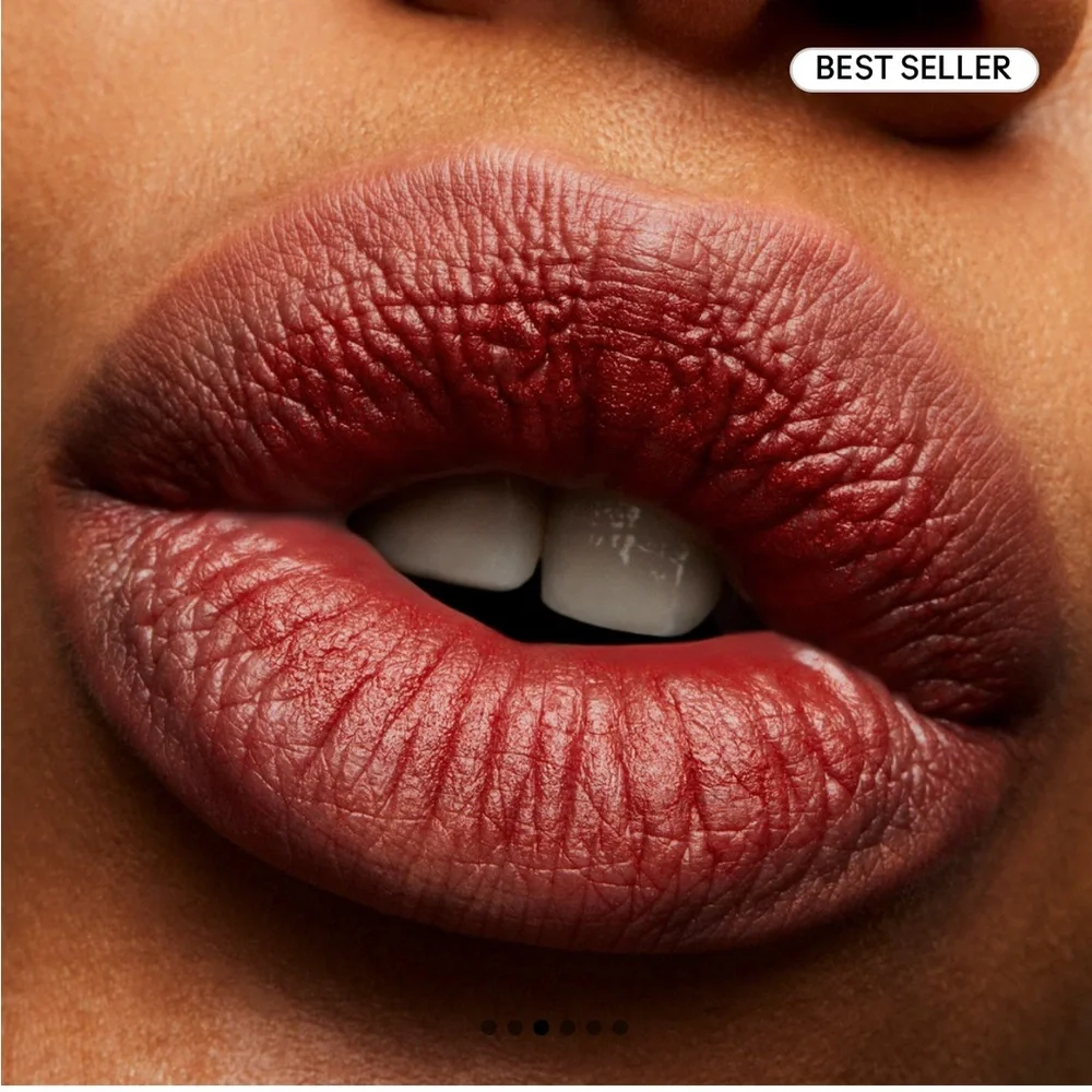 MAC Devoted to Chili NWT Powder Kiss Lipstick reinvented matte color warm brick